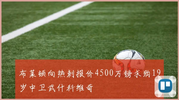 布莱顿向热刺报价4500万镑求购19岁中卫武什科维奇